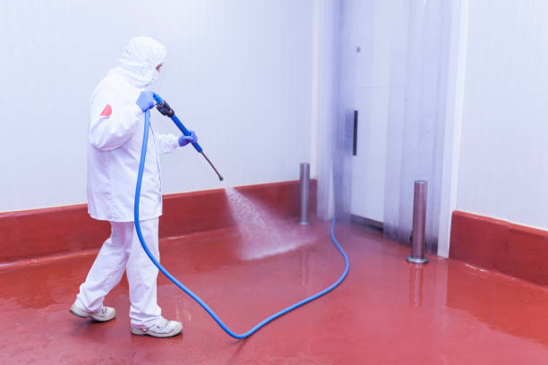 Professional Pressure Washing Services in Portage, IN